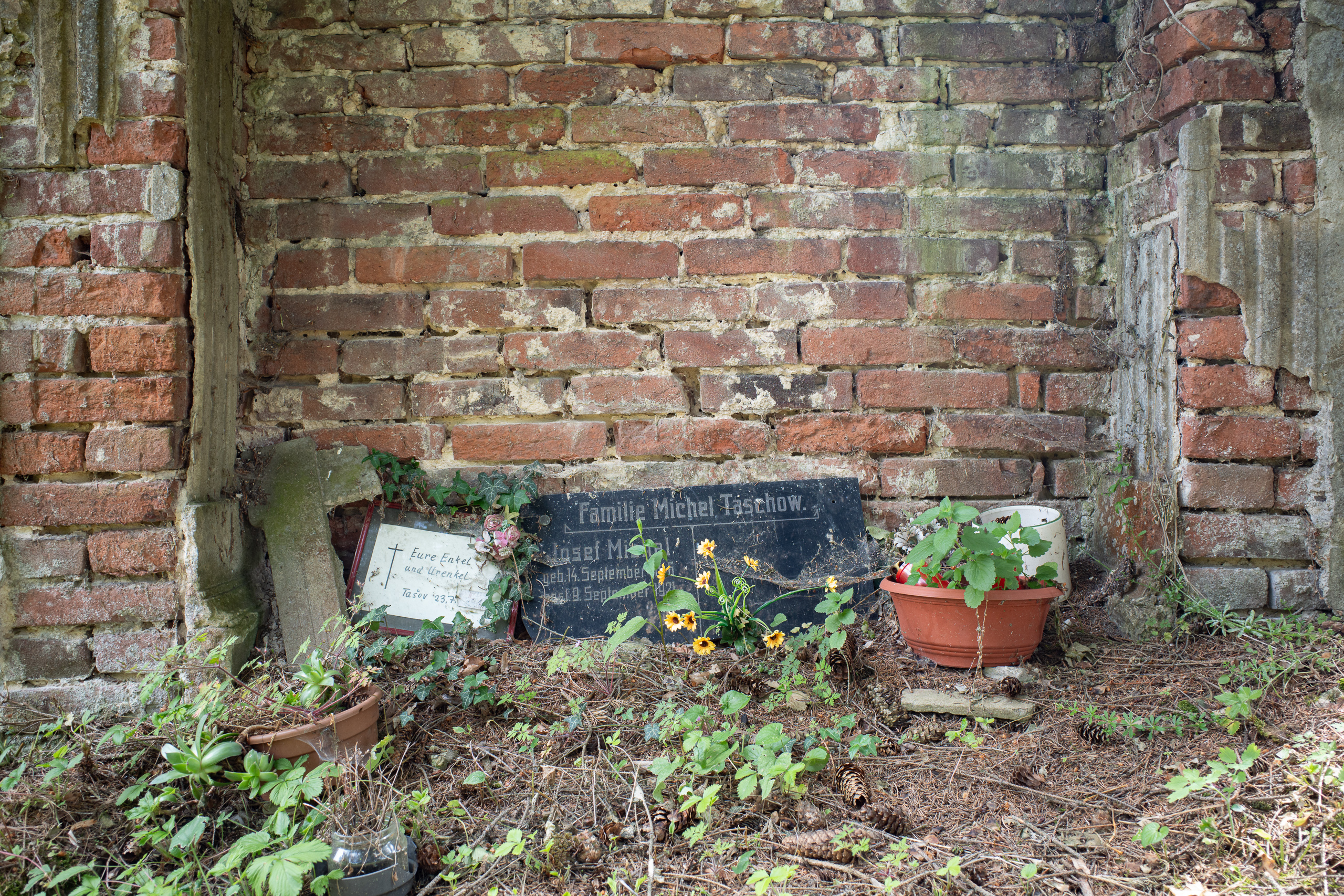 Elbe-Radweg auf deutschem Ufer